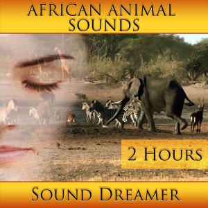 African Animal Sounds (2 Hours)