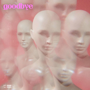 Album Goodbye from Stonage