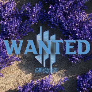 收聽Capslock的Wanted歌詞歌曲