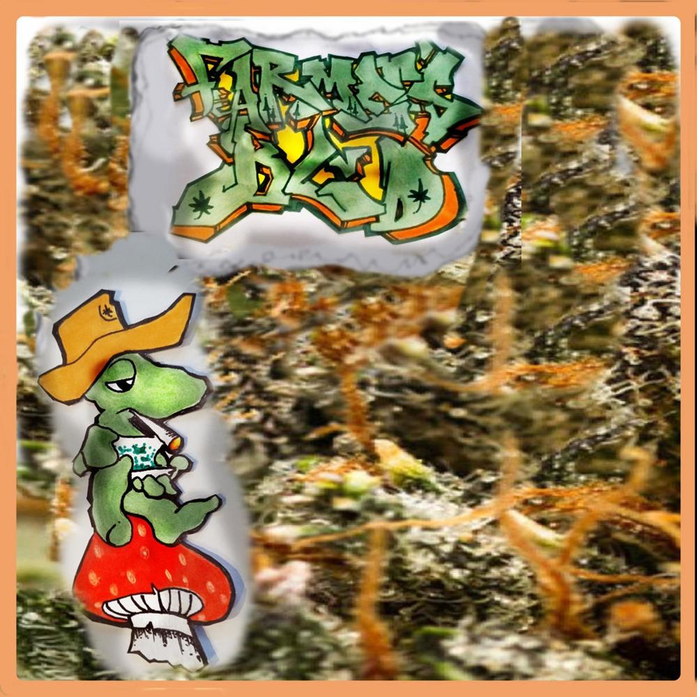 FARMERS BLVD (Explicit)
