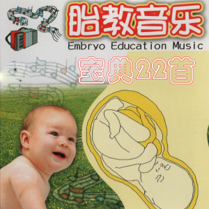 Album 胎教音乐宝典22首 from Various