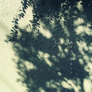 Listen to 風はパーマネント song with lyrics from 仓品翔