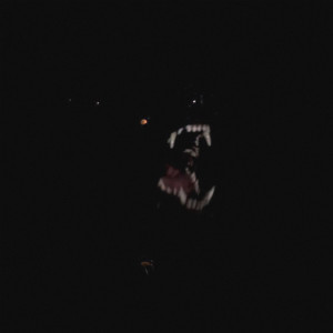อัลบัม Werewolf (Explicit) ศิลปิน Quin