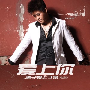 Album 爱上你等于爱上了错（DJ默涵版） from 张振宇