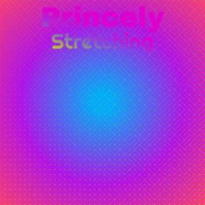 Listen to Princely Stretching song with lyrics from Aguel Schr