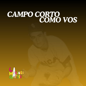 Listen to Campo Corto Como Vos song with lyrics from La Maquinaria Gaitera