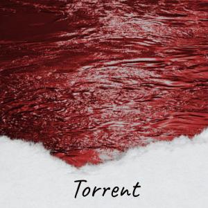 Album Torrent from Ignacy Bano