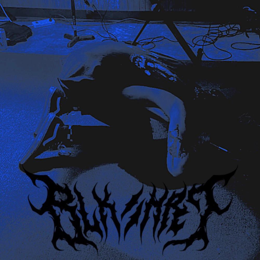 We All Rot and Die Alone (Explicit)