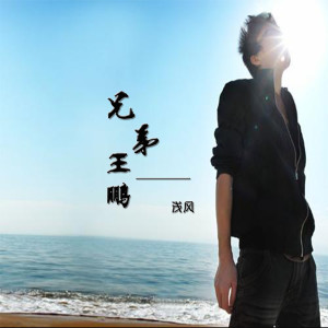 收聽淺風的兄弟王鵬歌詞歌曲