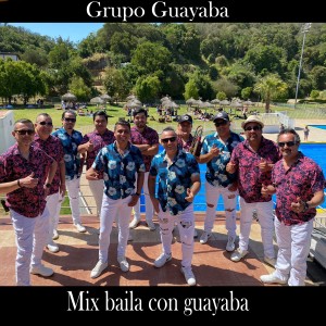 ดาวน์โหลดและฟังเพลง Mix Baila Con Guayaba: El Farolito/Fuiste al Baile/La Machaca พร้อมเนื้อเพลงจาก GRUPO GUAYABA