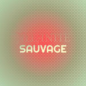 Various的专辑Allanite Sauvage