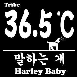 Album Speaking Dog from 36.5˚C