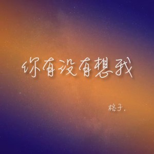 Listen to 你有没有想我 (伴奏) song with lyrics from 张碧格