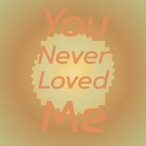 You Never Loved Me