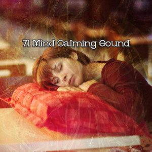 Baby Sleep的专辑71 Mind Calming Sound