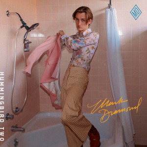 ดาวน์โหลดและฟังเพลง Hummingbird พร้อมเนื้อเพลงจาก Mark Diamond