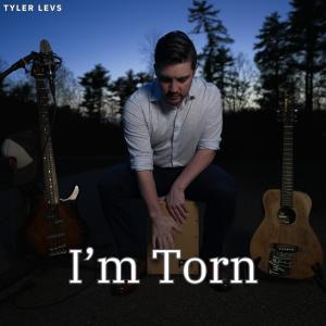 Tyler Levs的專輯I'm Torn (Explicit)