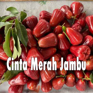 Album Cinta Merah Jambu from Dewangkara