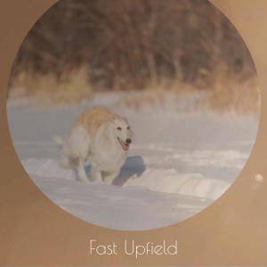 Fast Upfield dari Various