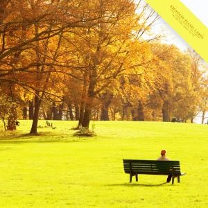 Listen to Small Wooden Doll song with lyrics from Harmonious