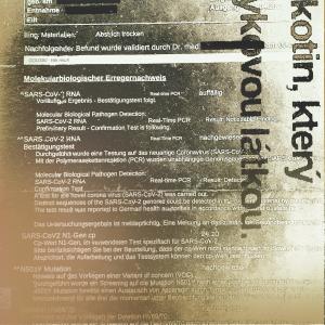 ดาวน์โหลดและฟังเพลง Hör mich พร้อมเนื้อเพลงจาก Goldski