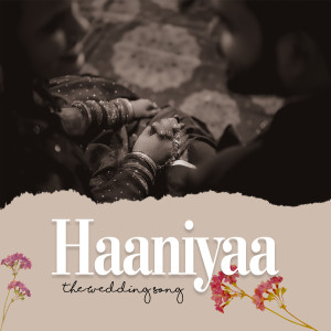 Album Haaniyaa - The Wedding Song from Vinay Dewangan