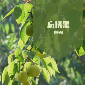 Listen to 忘情果 song with lyrics from 林诗晴