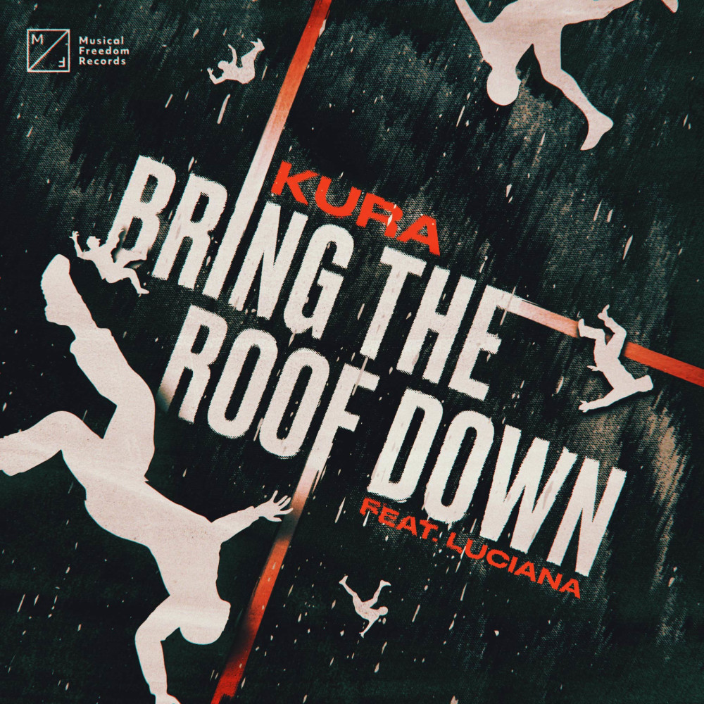 Bring The Roof Down (feat. Luciana) (Explicit)