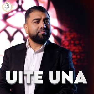 Album UITE UNA from Liviu Pustiu