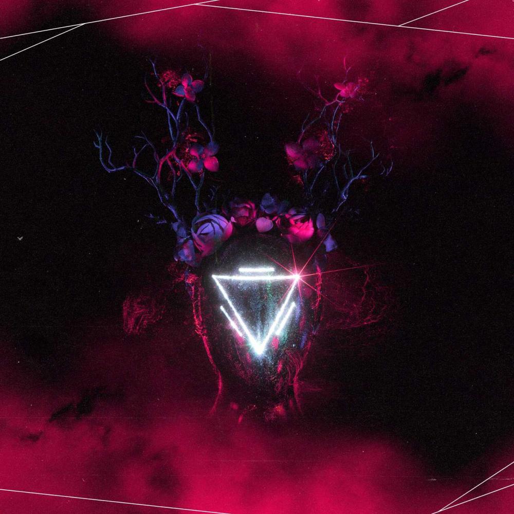 Creature In The Night (Explicit)