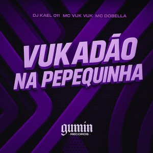 收聽DJ Kael 011的Vukadão na Pepequinha (Explicit)歌詞歌曲