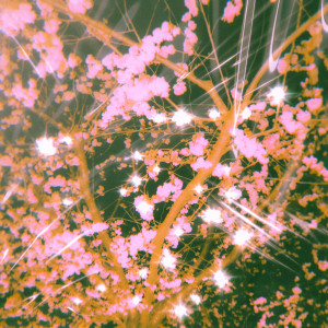 Dengarkan 2017 lagu dari Kende dengan lirik