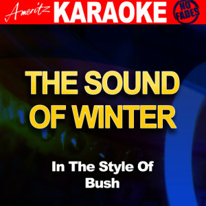 收聽Ameritz Audio Karaoke的The Sound Of Winter (In the Style of Bush) [Karaoke Version] (Karaoke Version)歌詞歌曲
