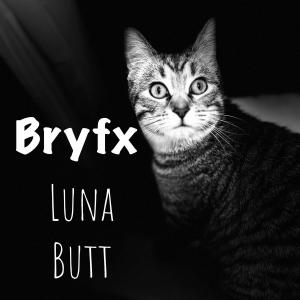 收聽BryFx的One-Upping Everest (Bomberman Remix)歌詞歌曲