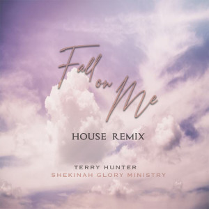 Terry Hunter的專輯Fall on Me (House Remix)