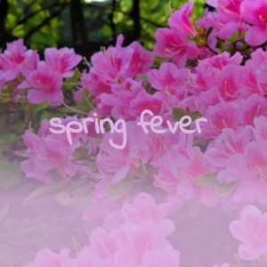 Album Spring Fever oleh Various