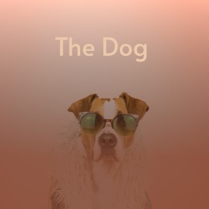 收聽Terra & Cook的The Dog歌詞歌曲