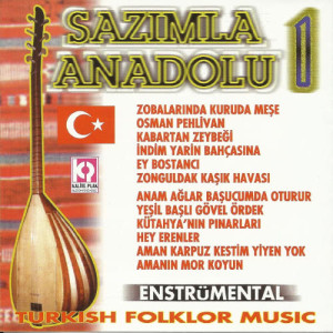 ดาวน์โหลดและฟังเพลง Yeşil Başlı Gövel Ördek พร้อมเนื้อเพลงจาก Zeki Adsız