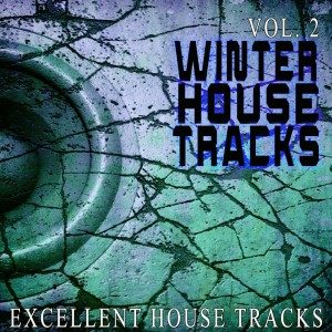 Album Winter House S, Vol. 2 - Excellent House oleh Various Artists