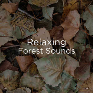 Listen to Relaxing Rain song with lyrics from BodyHI