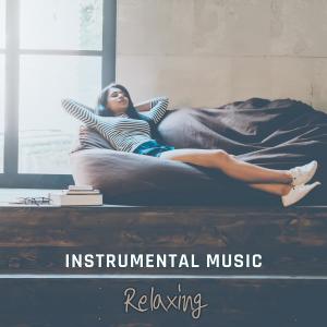 Various的專輯Instrumental Music Relaxing