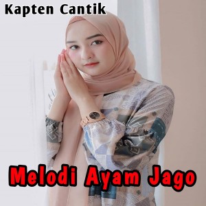 收聽Kapten Cantik的Melodi Ayam Jago歌詞歌曲