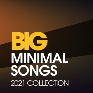 Listen to Gonna Get Haah (Francesco Pittaluga Remix) song with lyrics from Angel Stoxx