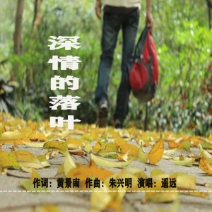 Listen to 深情的落叶（男版） (伴奏) song with lyrics from 泉乡音悦