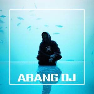 Album DJ Goyang Dayung from Abang Dj