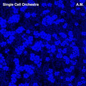 收聽Single Cell Orchestra的Earthbound Atom Bomb Heart歌詞歌曲
