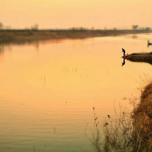 Album South?lake?&?concerto from 