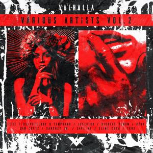 Listen to Metadona song with lyrics from RZVX