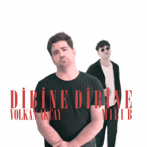 Listen to Dibine Dibine song with lyrics from Volkan Akçay