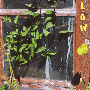 收聽Pollution的Low歌詞歌曲